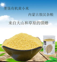 壟墾內蒙有機黃小米 源自敖漢的天然五谷珍品