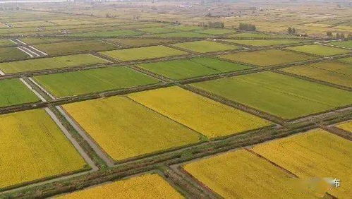 我縣順利通過全國綠色食品原料水稻標準化生產基地創(chuàng)建驗收