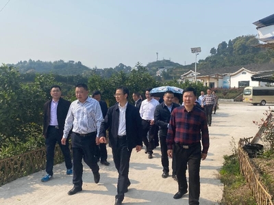瀘州市委統(tǒng)戰(zhàn)部赴合江縣調(diào)研涉臺(tái)產(chǎn)業(yè)發(fā)展，聚焦稻谷產(chǎn)業(yè)合作與鄉(xiāng)村振興
